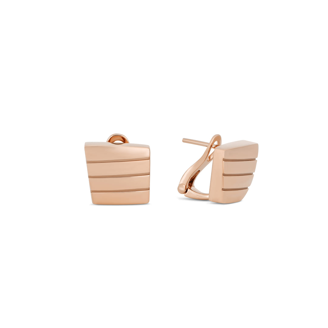 SAUVAGE PRIVE’ EARRINGS
