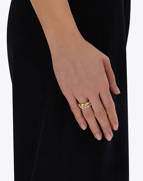 ARIA RING